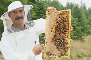 Konya’da arıcılara destek bal üretimini artırdı
