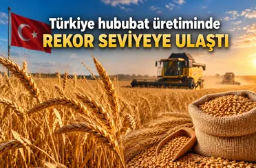Türkiye hububat üretiminde rekor seviyeye ulaştı