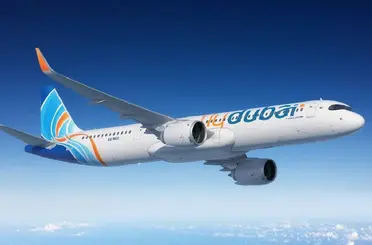 Uçakta kaçırılma alarmı paniğe neden oldu: Gerçek pilotların kavgası çıktı